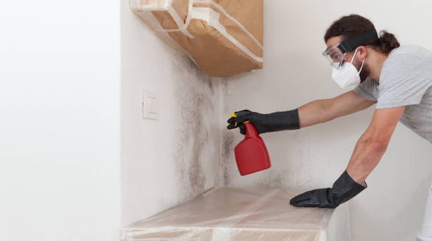 Professional Crawl Space Mold Removal technician working in Bahama, NC