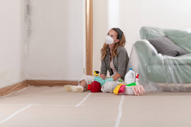 Reliable Crawl Space Mold Removal contractor in Bahama, NC by WQB Mold Removal