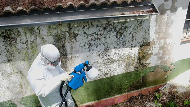Top rated local Crawl Space Mold Removal specialists in Bahama, NC